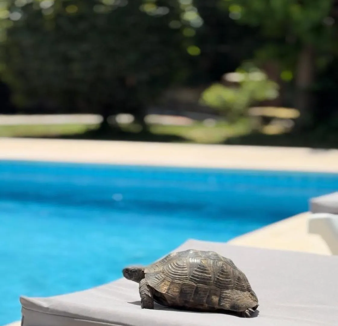 Villa Xanthos 301 올루데니스 터키
